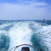 BLUE OCEAN Free Joomla! 3 Responsive Template - sample photo gallery page